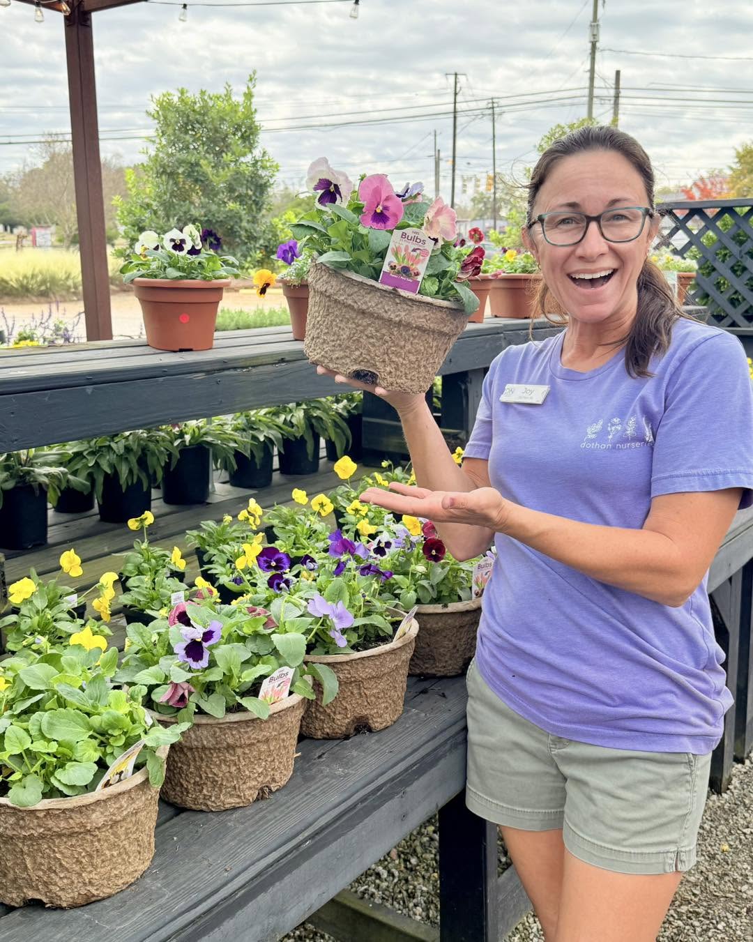Spring Loaded β Pansies Now, Spring Bulbs Later