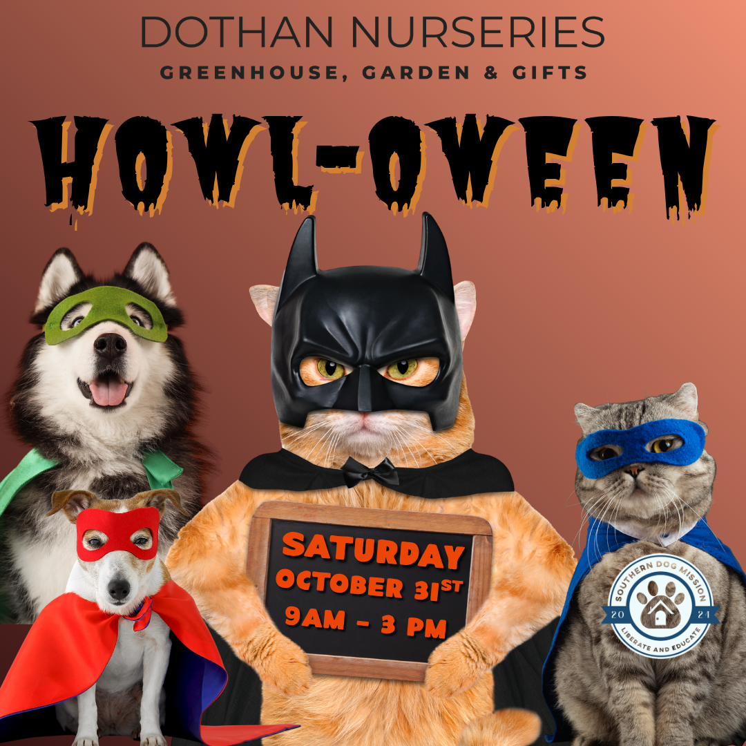 Howl-O-Ween: The Great Pet Spooktacular πΎπ