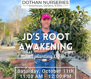 JD's Root Awakening