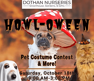 Howl-Oween