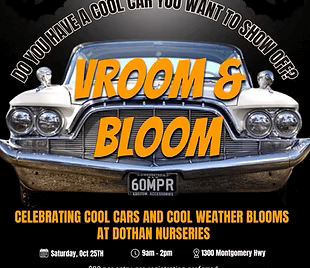 Vroom & Bloom Car Show