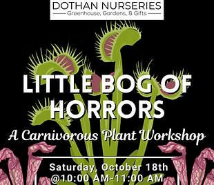 Little Bog of Horrors Carnivorous Plant Container Garden Class