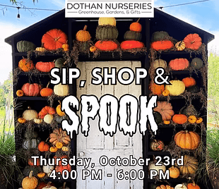 Sip, Shop & Spook