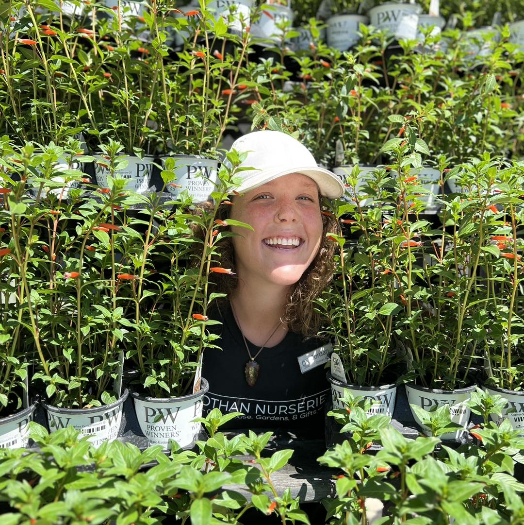 Dothan Nurseries Online Shop