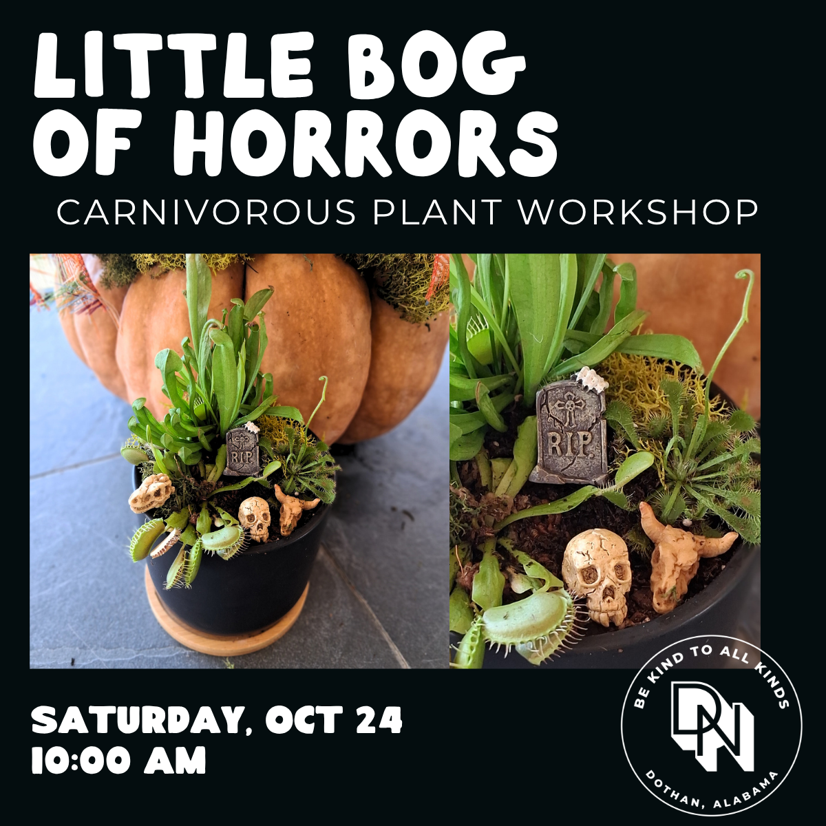 Little Bog Of Horrors Carnivorous Plant Workshop