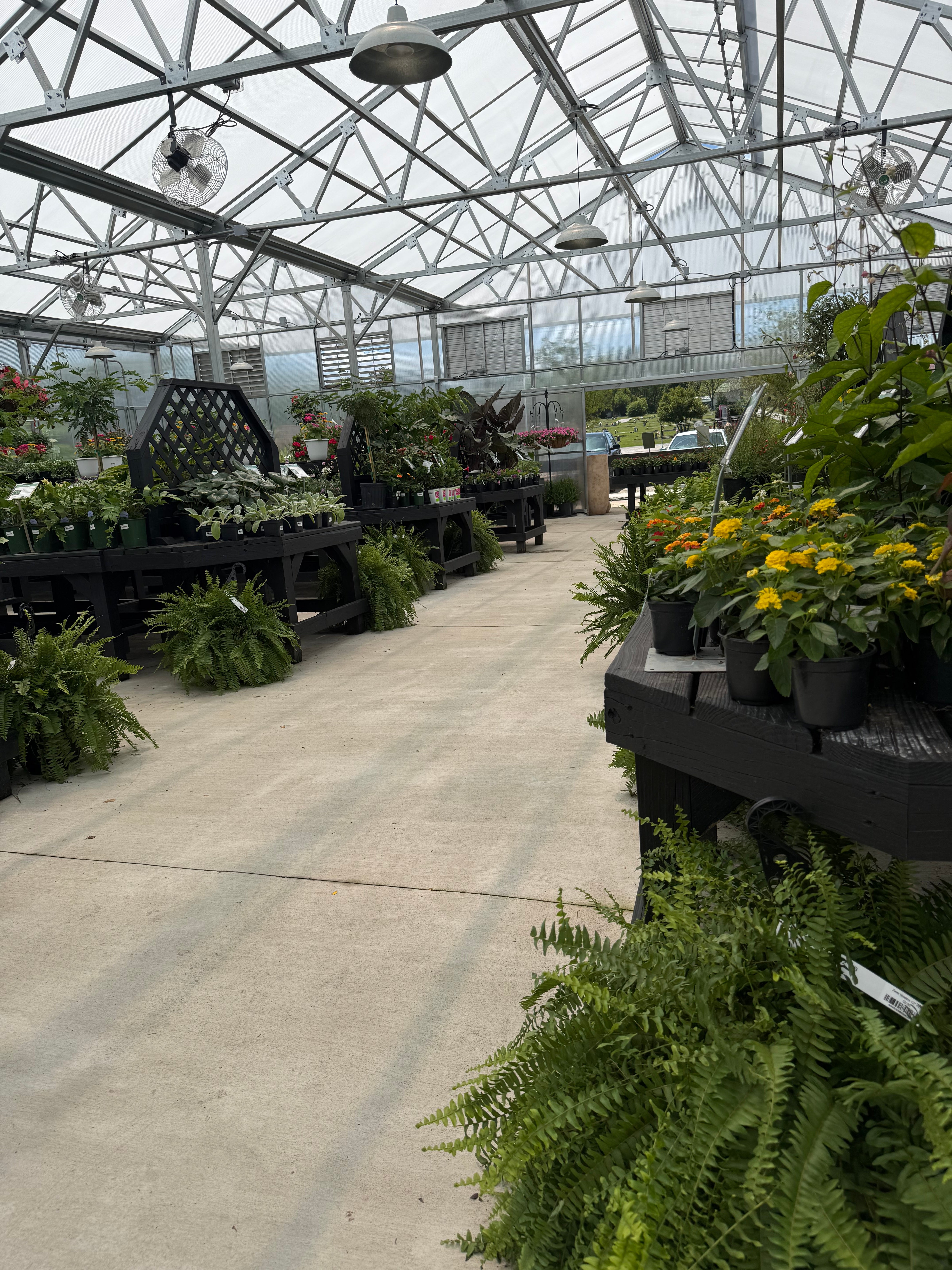 Dothan Nurseries Online Shop