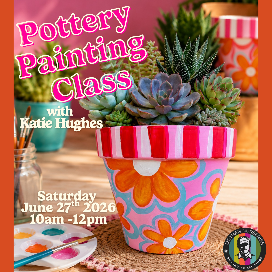 Whimsical Summer Planter Class 🎨🌼