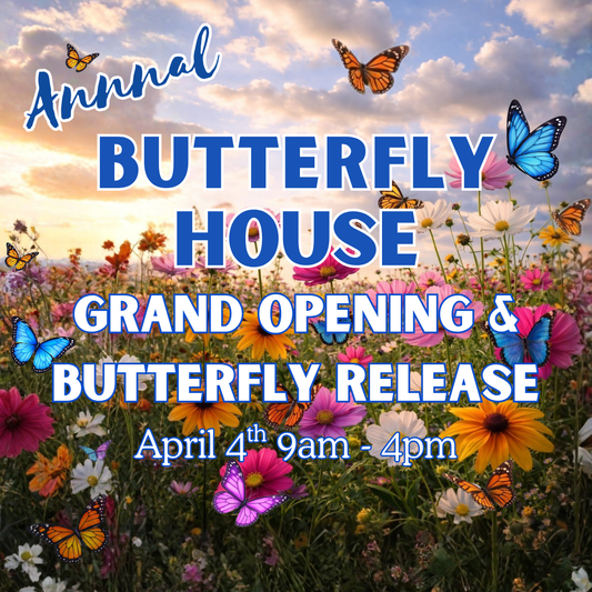 Butterfly Release