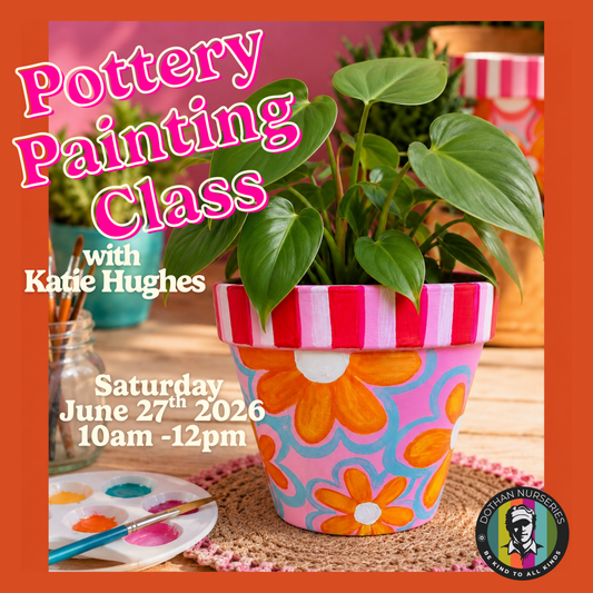Whimsical Summer Planter Class 🎨🌼