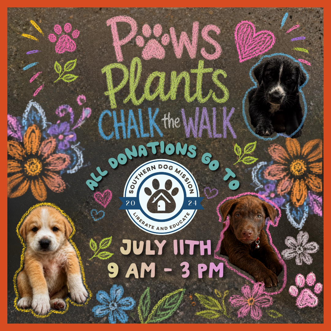 Paws & Plants: Chalk the Walk
