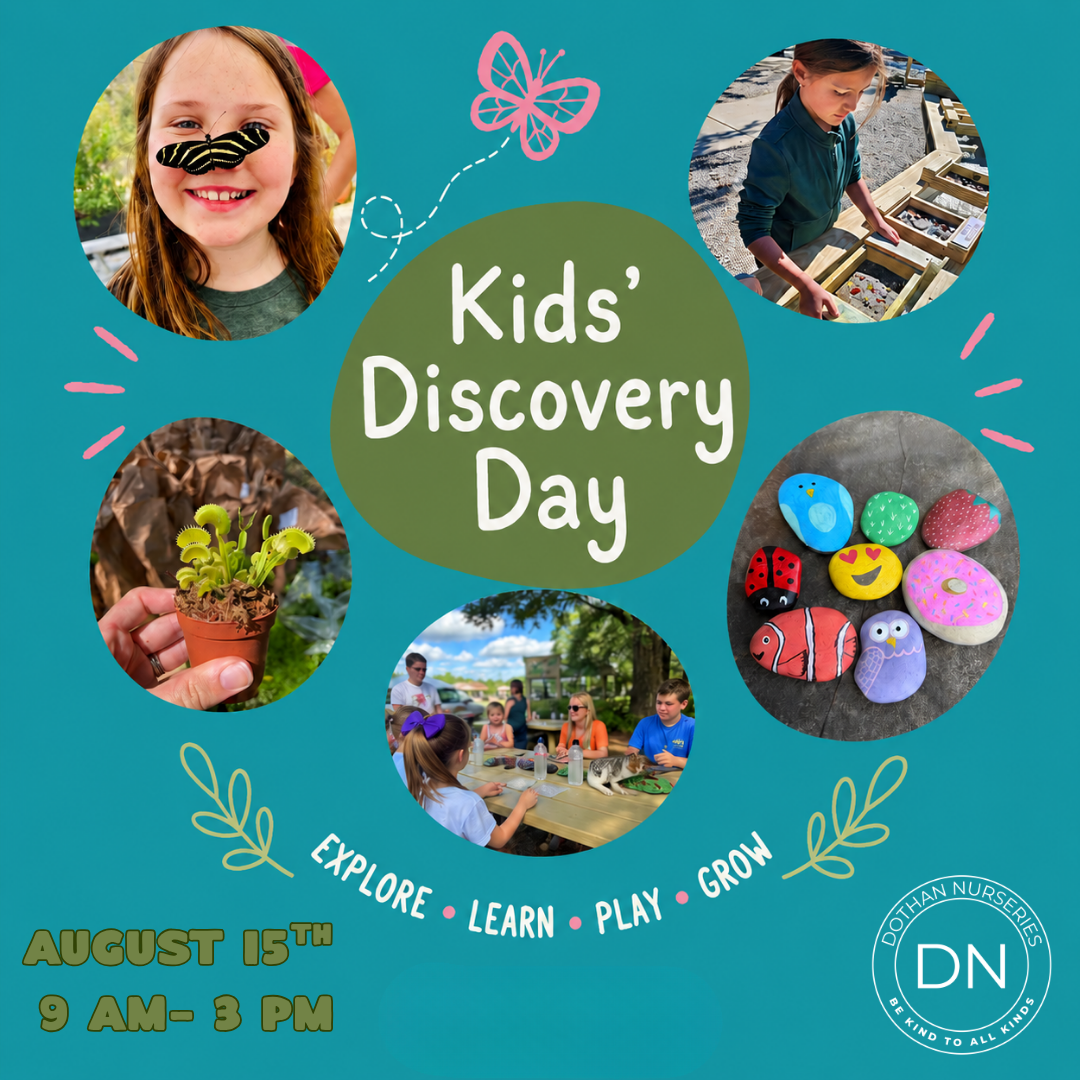Kids' Discovery Day Adventure Pass
