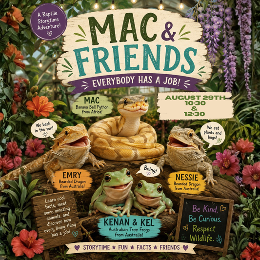 Mac & Friends Reptile Storytime Adventure