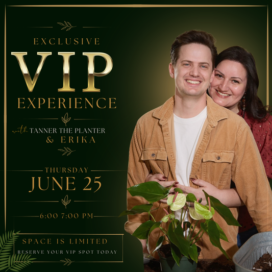 Beyond the Pages: An Evening with Tanner & Erika